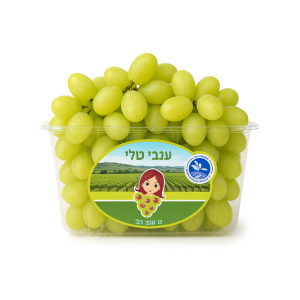 ענבים ירוקים טלי
