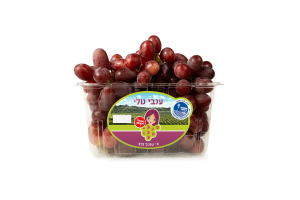 ענבים סגולים טלי
