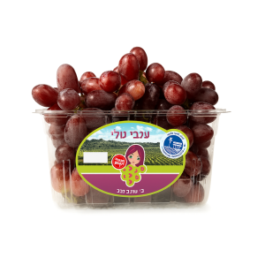 ענבים סגולים טלי