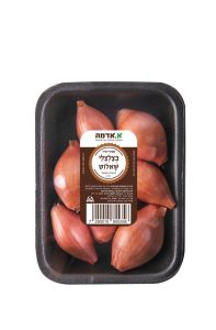 מארז בצלצלי שאלוט